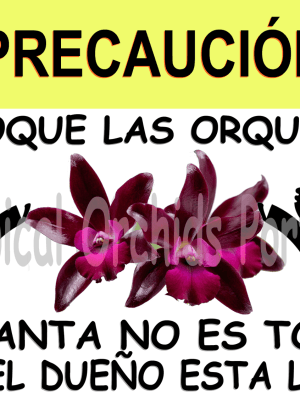 Placa decorativa - Cuidado