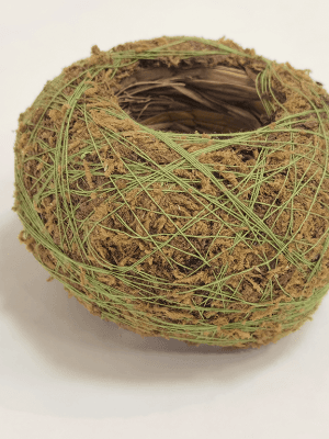 Kokedama Decorativo